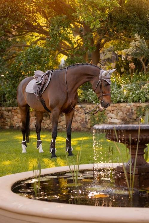 LeMieux Suede Spring CC dekje Grijs UITVERKOOP, Dieren en Toebehoren, Paarden en Pony's | Dekens en Dekjes, Nieuw, Dekje, Ophalen of Verzenden
