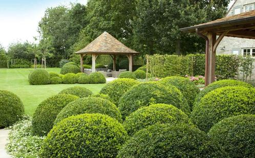 aménagement paysager et entretien : allée, terrasse, pavés, Services & Professionnels, Jardiniers & Paveurs, Trottoir, Construction de jardin ou d'étang