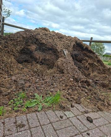 Zuiver paardenmest  beschikbaar voor biedingen
