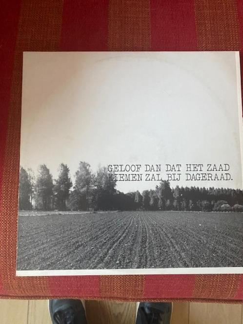 LP Geloof dan dat het zaad kiemen zal bij dageraad, CD & DVD, Vinyles | Néerlandophone, Comme neuf, Pop, 12 pouces, Enlèvement ou Envoi