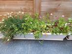4 bloembakken balkon met onderschaal, Tuin en Terras, Ophalen, Gebruikt, Kunststof, Tuin