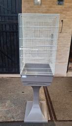 Belle cage à oiseaux pour perruches, Animaux & Accessoires, Enlèvement