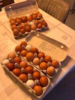 Eitjes, Diversen, Ophalen