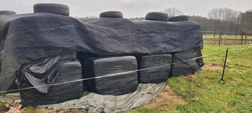 Hooi te koop verpakt in rechthoekige botten, Dieren en Toebehoren, Dierenvoeding, Overige soorten, Ophalen