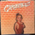 Gambrinus Gambrinus, Enlèvement ou Envoi, Comme neuf, 12 pouces, Pop rock