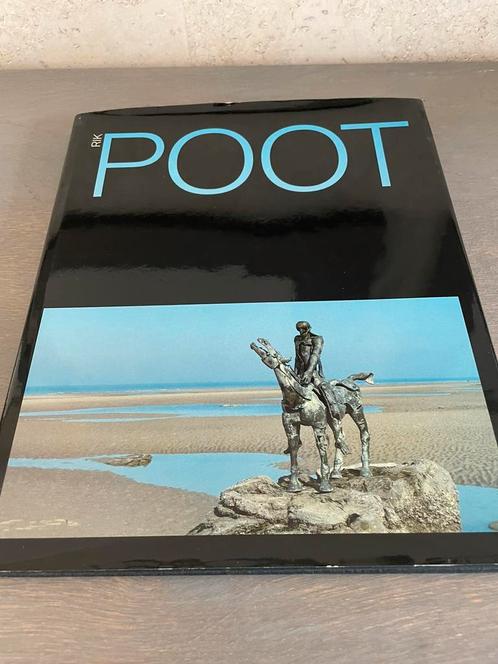 Boek: Rik Poot in uitstekende staat, Antiek en Kunst, Kunst | Overige Kunst, Ophalen of Verzenden