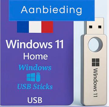 installatie USB Windows 11 HOME beschikbaar voor biedingen