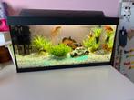 Mooie Complete Aquarium TETRA met alles bij, Ophalen, Zo goed als nieuw