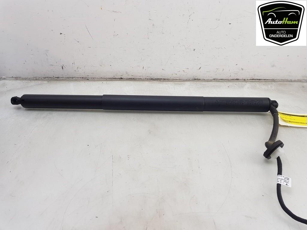 ACHTERKLEP MOTOR Tesla Model Y (5YJY) (|150060100A|), Germany_Sales@tesla.com, Gebruikt, Achterklep, Overige automerken