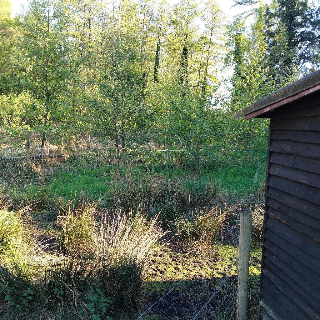 Grond met vijver en bos te koop