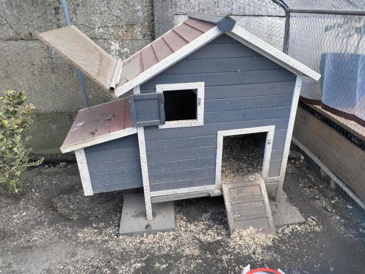 Volière et poulailler complets avec accessoires, Animaux & Accessoires, Volatiles | Accessoires, Utilisé, Poulailler, Enlèvement