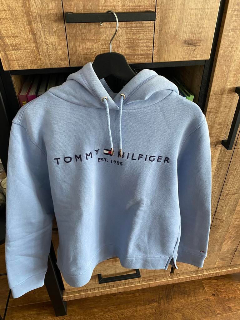 Hoodie Tommy Hilfiger, Kleding | Heren, Truien en Vesten, Ophalen of Verzenden, Zo goed als nieuw