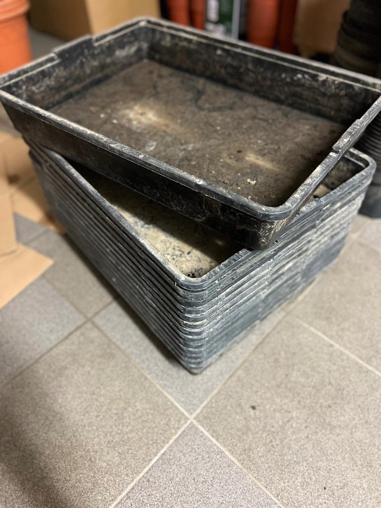 grote zaaibak plantbak 56,5 x 42 cm, Tuin en Terras, Bloembakken en Plantenbakken, Gebruikt, Kunststof, Binnen, Balkon, Tuin, Minder dan 30 cm