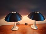 Mushroomlamp Louis Kalff, Ophalen