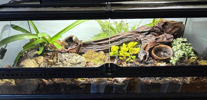 Terrarium exoterra 90x45x30cm, Animaux & Accessoires, Reptiles & Amphibiens | Accessoires, Comme neuf, Terrarium ou Paludarium