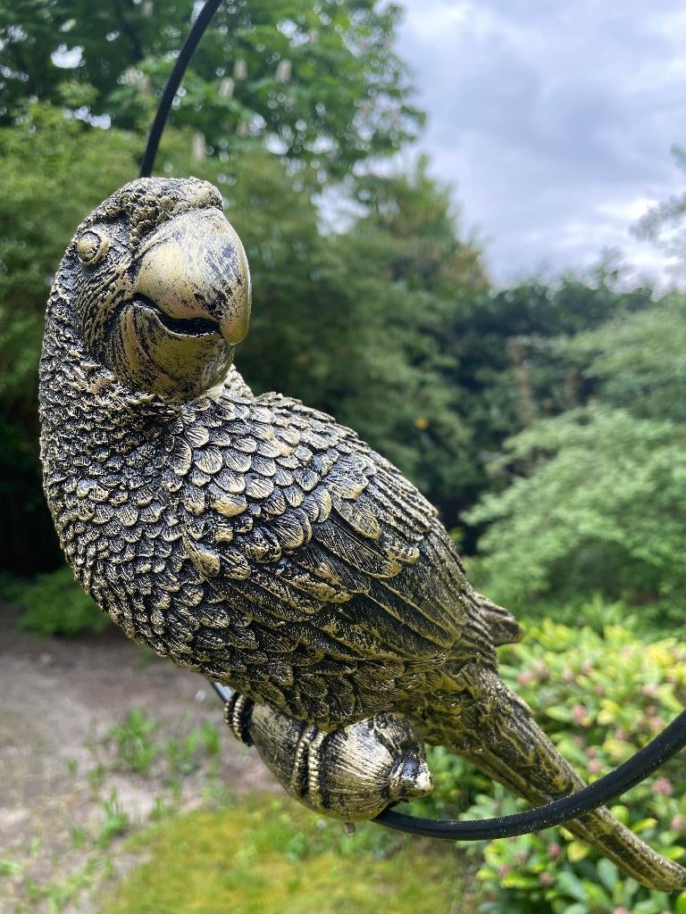 Beeld papegaai Goud tuin, vijver, balkon 35cm, Ophalen of Verzenden, Nieuw, Kunststof, Dierenbeeld