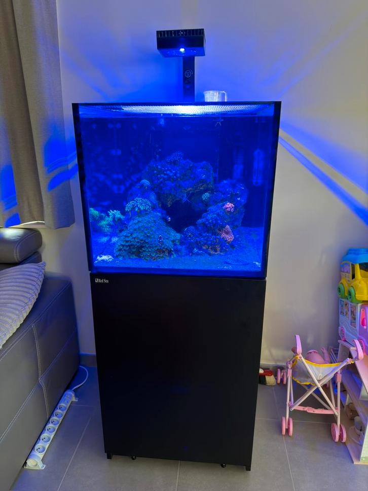 Compleet zeeaquarium Redsea reefer 200 XL, Animaux & Accessoires, Poissons | Aquariums & Accessoires, Utilisé, Red Sea, Enlèvement