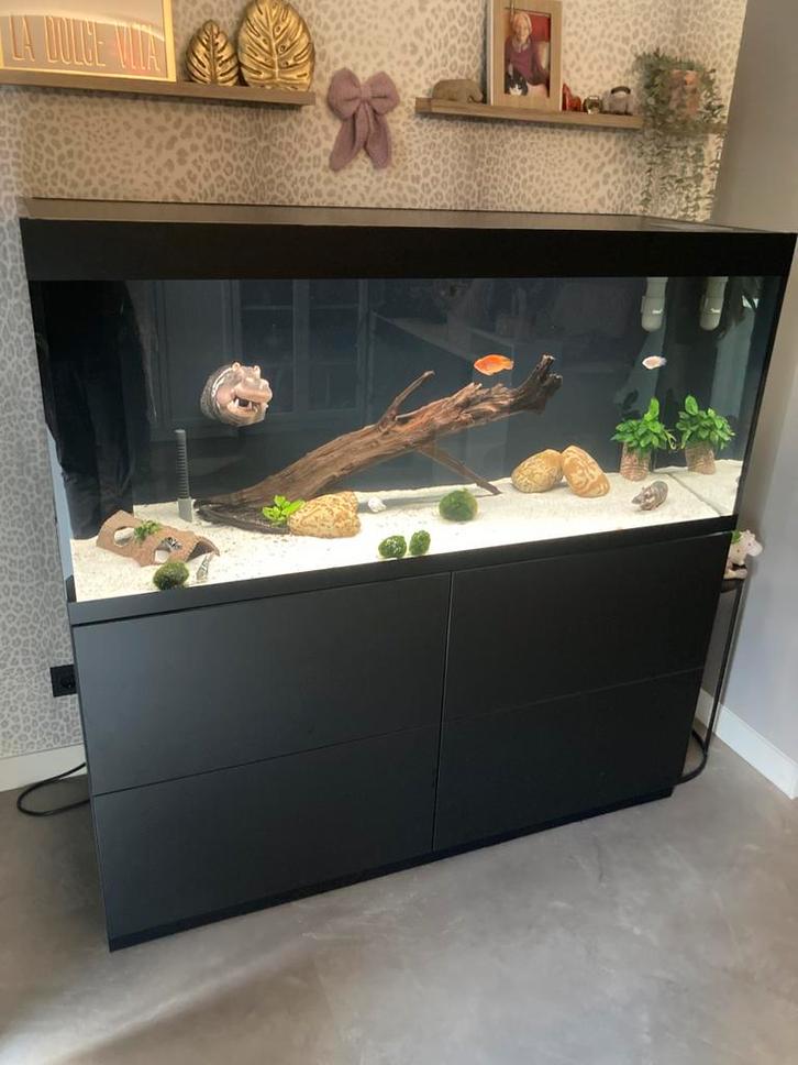 Oase HighLine Optiwhite 400 Set Zwart compleet., Dieren en Toebehoren, Vissen | Aquaria en Toebehoren, Zo goed als nieuw, Ophalen