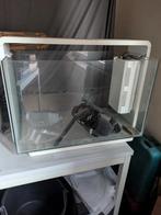 Aquarium 50 litres, Enlèvement