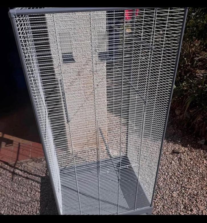 Grande volière cage oiseau neuf, Animaux & Accessoires, Oiseaux | Cages & Volières, Comme neuf, Volière, Métal, Enlèvement