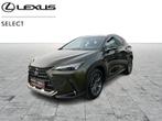 Lexus NX 350h 2.5 HYB 2WD EXECUTIVE LINE, Autos, Lexus, Achat, 2487 cm³, 242 ch, Noir