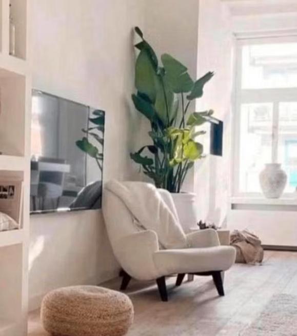 WOOD & STONES HET ADRES VOOR EIKEN PARKET TEGELS & MEER!!, Ophalen