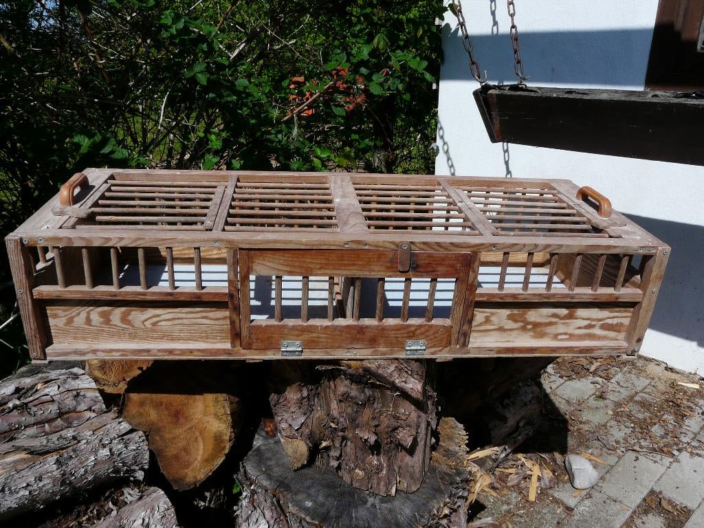 Pigeonniers (8 pièces, 21 et 38), Animaux & Accessoires