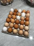 Biologische eieren, Ophalen, Zo goed als nieuw