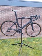 Ridley Noah Custumised, Enlèvement, Utilisé, Hommes