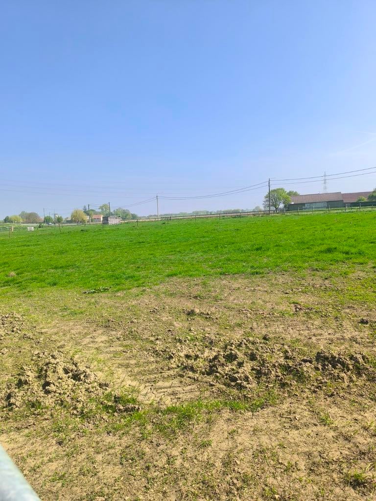 paardenpension, Dieren en Toebehoren, Stalling en Weidegang