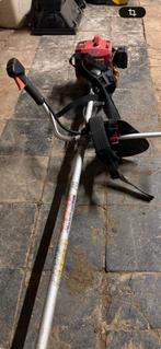 Bosmaaier, Ophalen of Verzenden