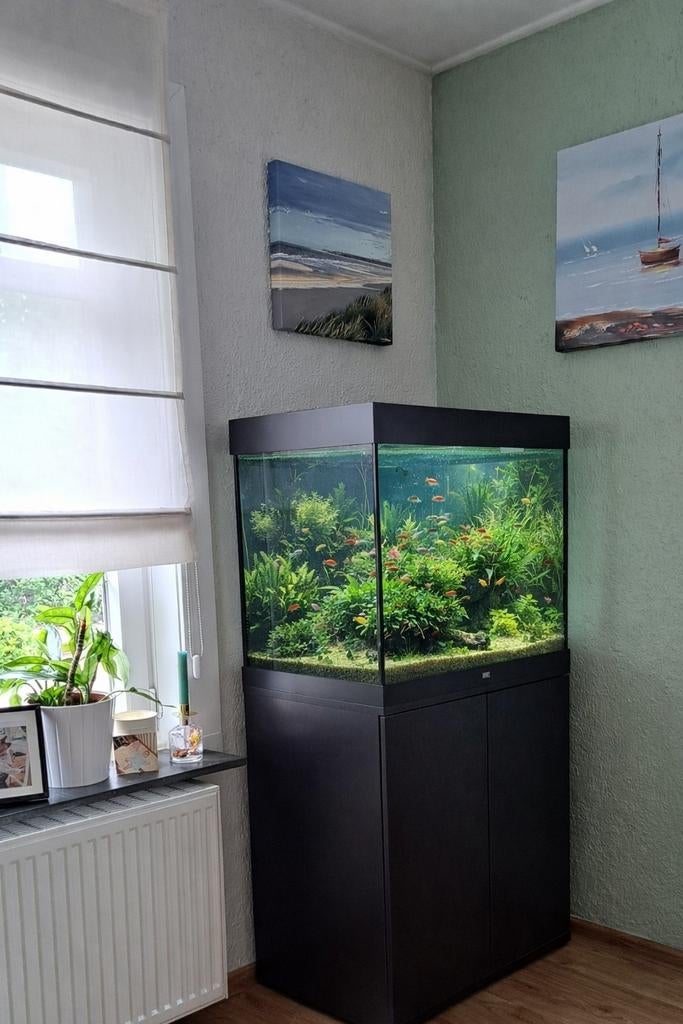 Aquarium plus kast, Dieren en Toebehoren, Vissen | Aquaria en Toebehoren, Filter, Juwel, Ophalen