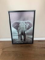 Kader, Ophalen, Zo goed als nieuw