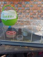 Hamsterkooie, Dieren en Toebehoren, Ophalen, Gebruikt, Kooi, Hamster
