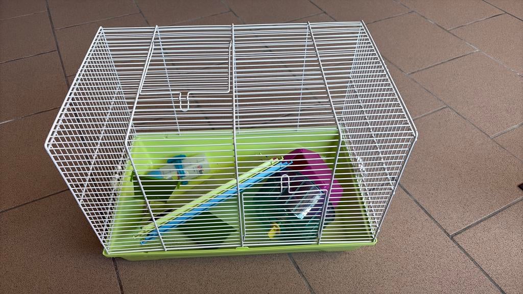 Hamsterkooi, Ophalen, Zo goed als nieuw