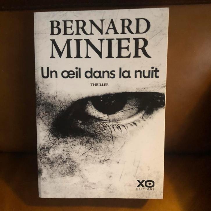 Bernard Minier - Un Oeil dans la Nuit, Livres, Thrillers, Enlèvement