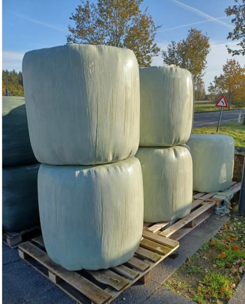 Hooi voordroog, Ophalen