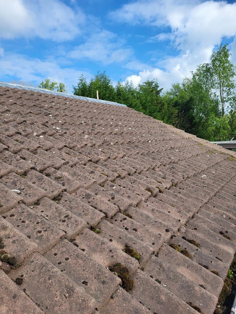 Sneldek dakpannen beton, Doe-het-zelf en Bouw, Dakpannen en Dakbedekking, Ophalen, Overige materialen, Gebruikt, Overige kleuren