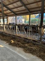 Voerhek voer hek coppens zelf sluitend stal inrichting koe