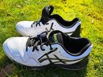 Heren tennisschoenen Asics maat 45:  enkele malen gebruikt, Ophalen of Verzenden, Zo goed als nieuw, Schoenen, Overige merken