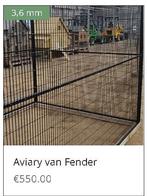 PAPEGAAIENKOOI NIEUW, Ophalen of Verzenden