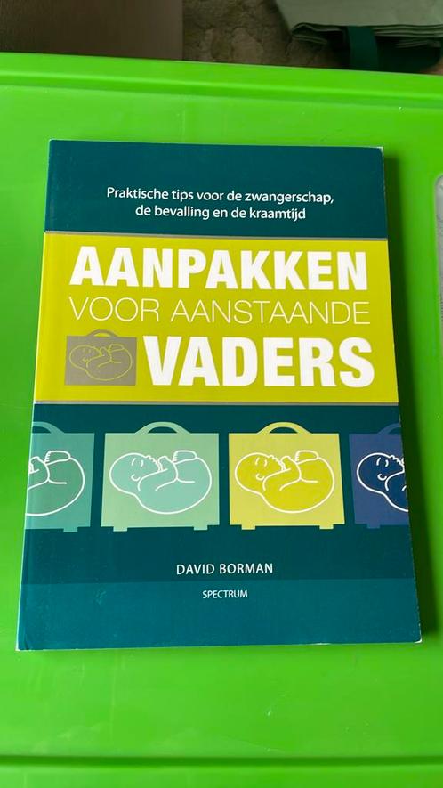 David Borman - Aanpakken voor aanstaande vaders, Livres, Grossesse & Éducation, Comme neuf, Enlèvement