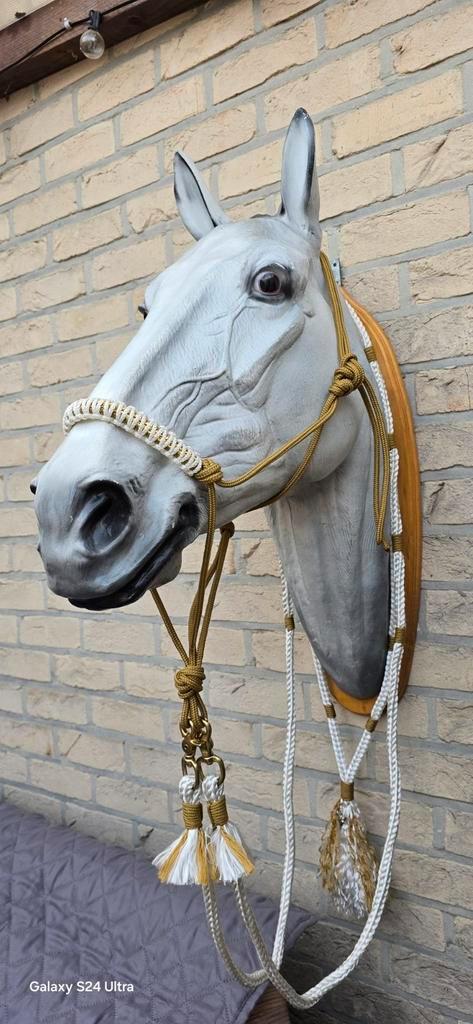 3 delige set voor fotoshoots Maat Full, Dieren en Toebehoren, Paarden en Pony's | Hoofdstellen en Tuigage, Nieuw, Ophalen