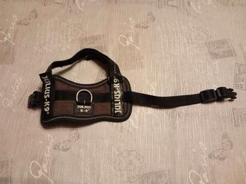 Honden halsband beschikbaar voor biedingen