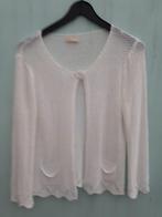 heel mooie witte cardigan/gilet dames merk Terra di siene, Kleding | Dames, Ophalen