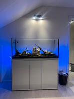 Volglas aquarium + kast (filter en verwarming*), Dieren en Toebehoren, Ophalen, Zo goed als nieuw