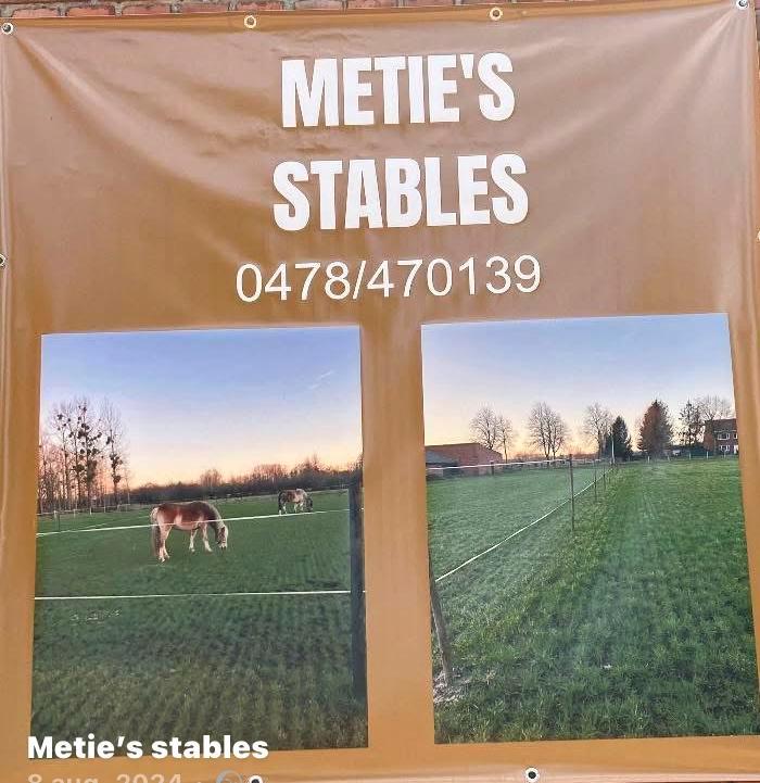 Pension stal te Diepenbeek!, Diensten en Vakmensen, Dieren | Paarden | Verzorging, Oppas en Dressuur