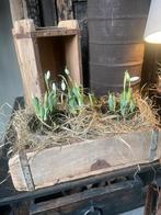 Houten steenmallen / houten bakjes, Antiek en Kunst, Curiosa en Brocante, Ophalen of Verzenden