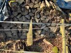 Brandhout, Jardin & Terrasse, Bois de chauffage, 6 m³ ou plus, Enlèvement, Chêne, Bûches
