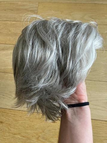 Professionele pruik - grijs haar beschikbaar voor biedingen